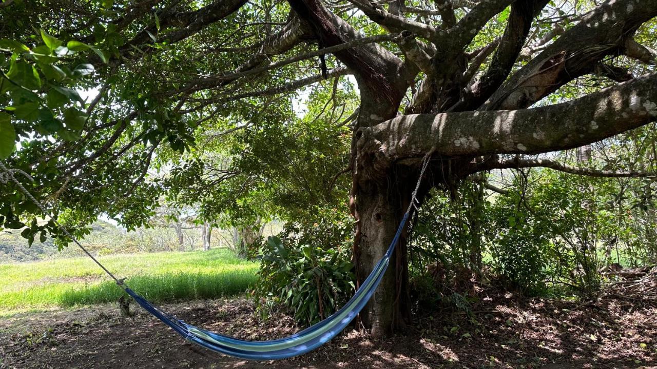 Campo Azul #3 - Monteverde Kültér fotó